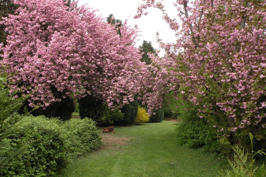 Photo of Others in Ouest