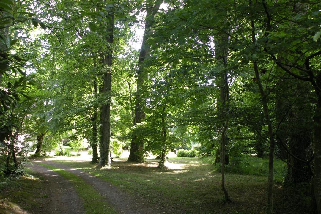 Photo of Others in Ouest