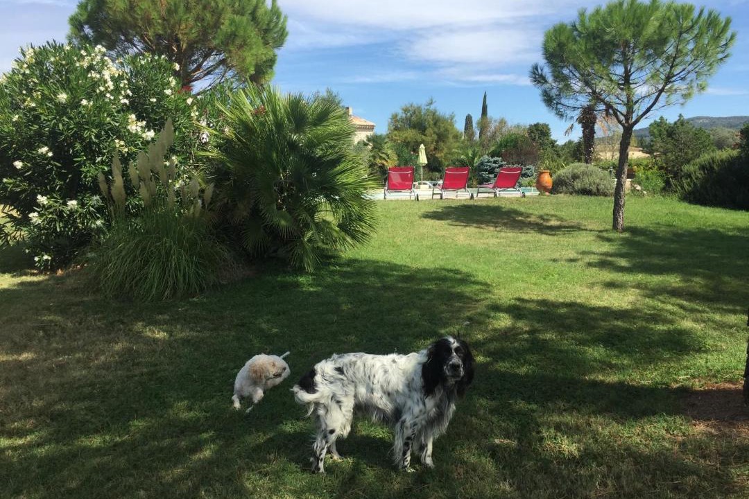 Photo of Others in La Garde-Adhemar