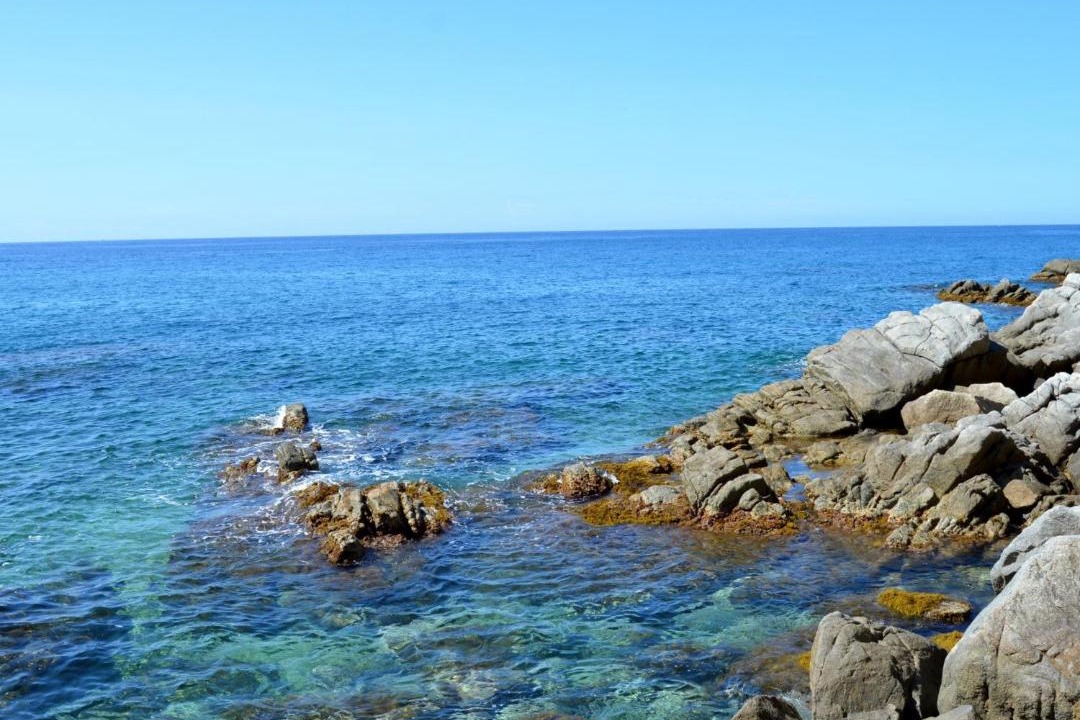 Photo of Others in Tossa de Mar