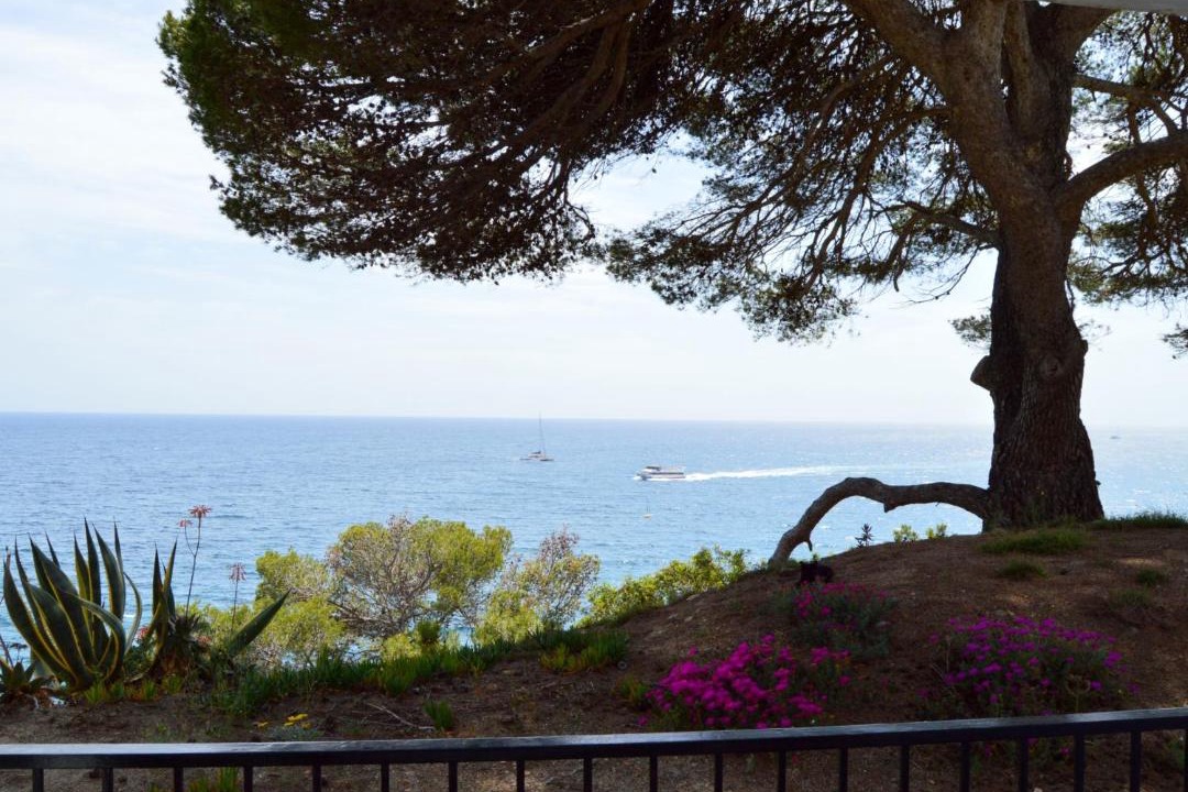 Photo of Others in Tossa de Mar