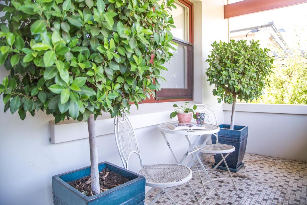 Photo of Patio Balcony in Tanunda