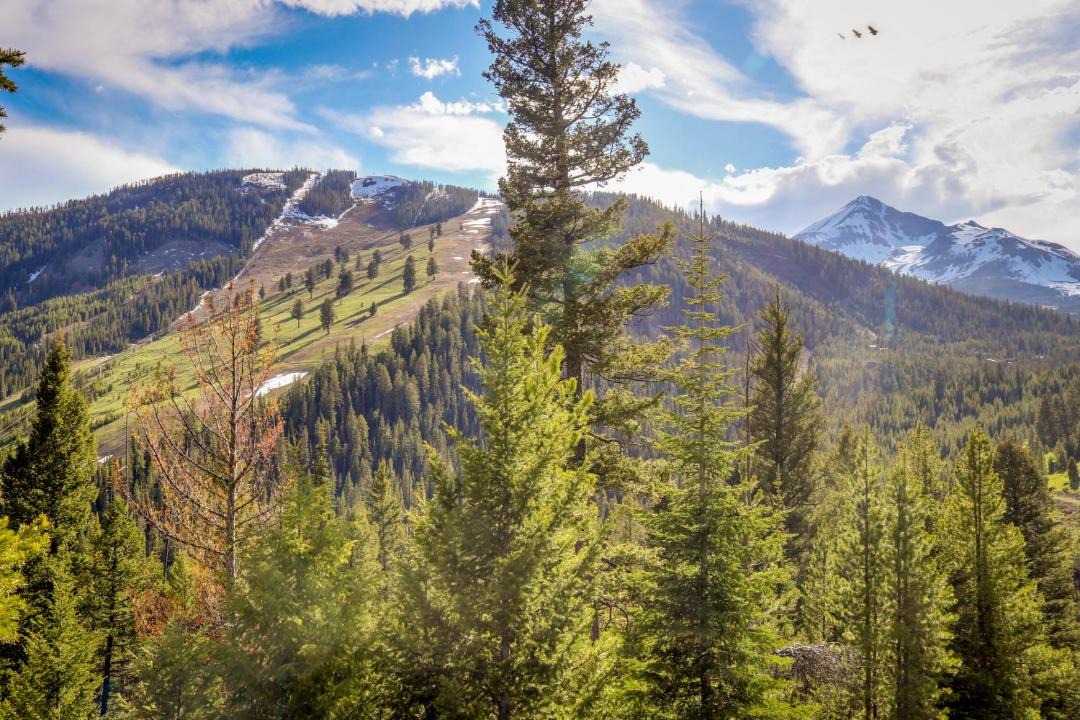 Photo of Others in Big Horn