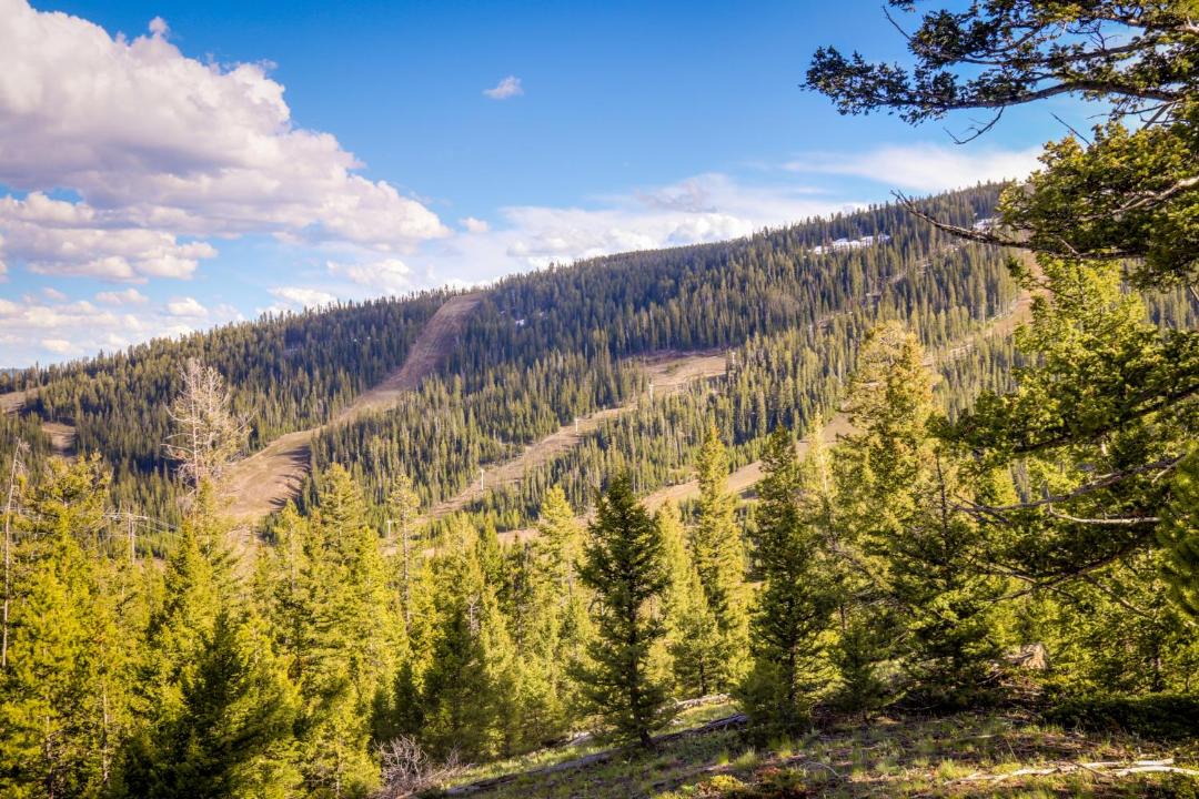 Photo of Others in Big Horn