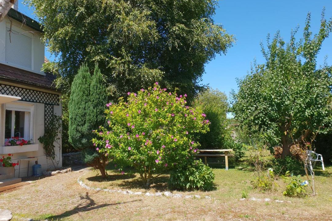 Photo of Others in Criel-sur-Mer