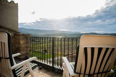 Photo of Patio Balcony in El Vilosell