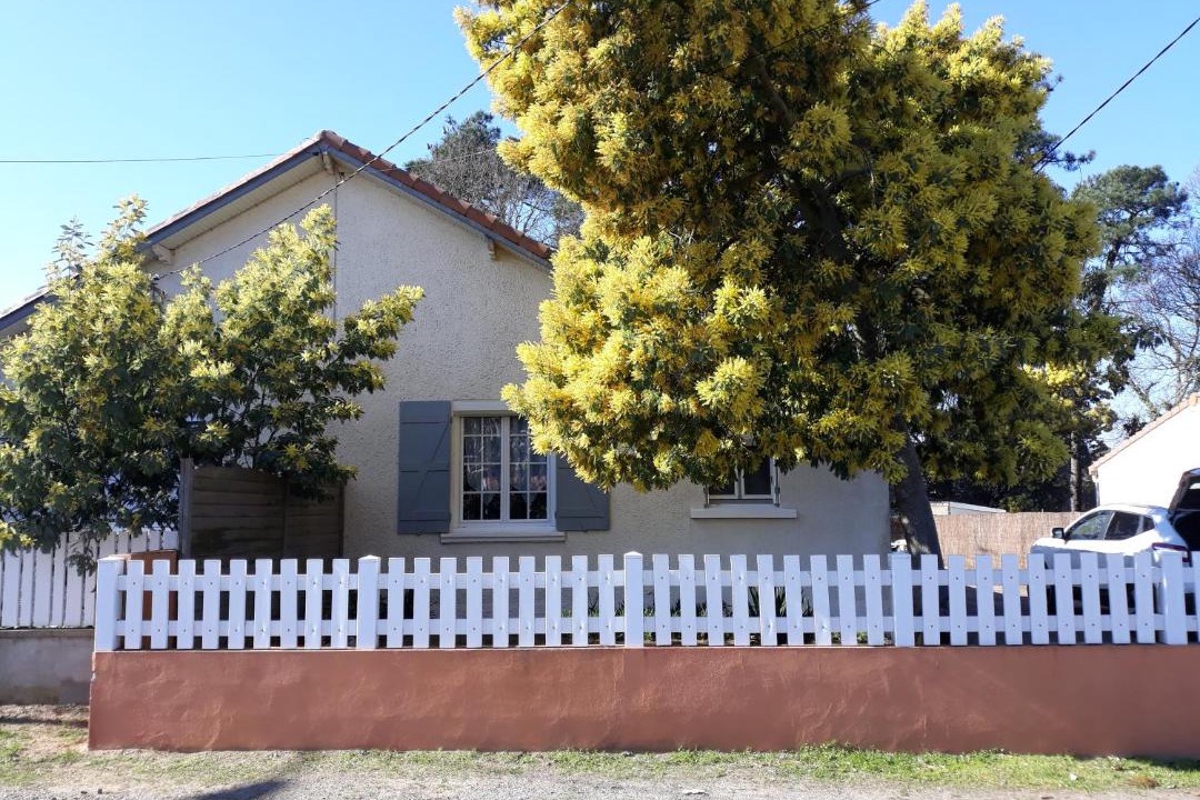 Photo of Others in Saint-Brevin-les-Pins