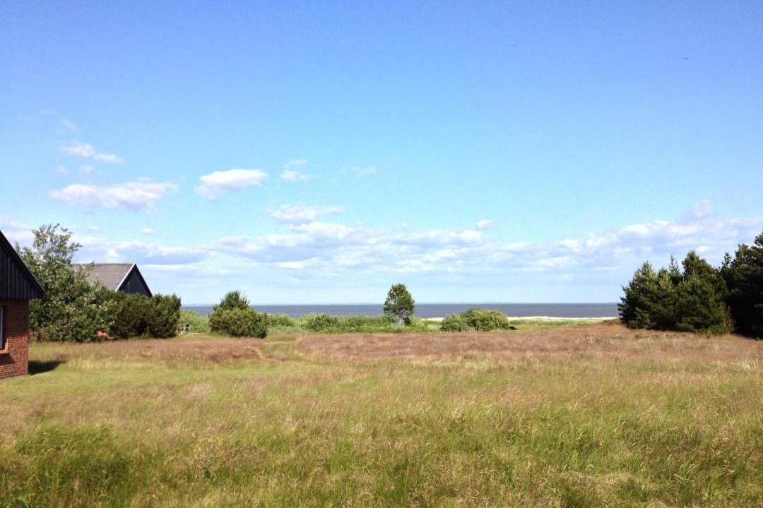 Photo of Others in Kongsmark