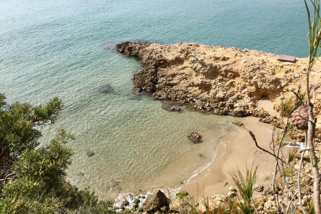 Photo of Others in Cap de Salou