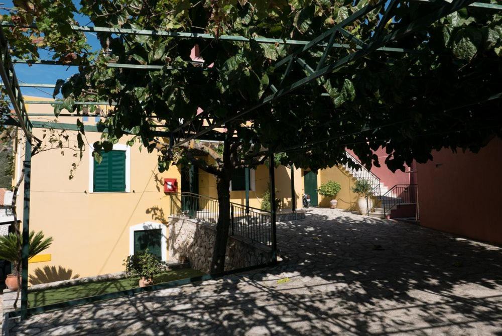 Photo of Buildings in Sivota
