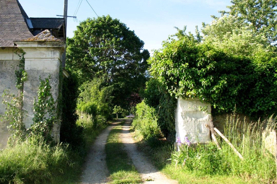 Photo of Others in Jarze