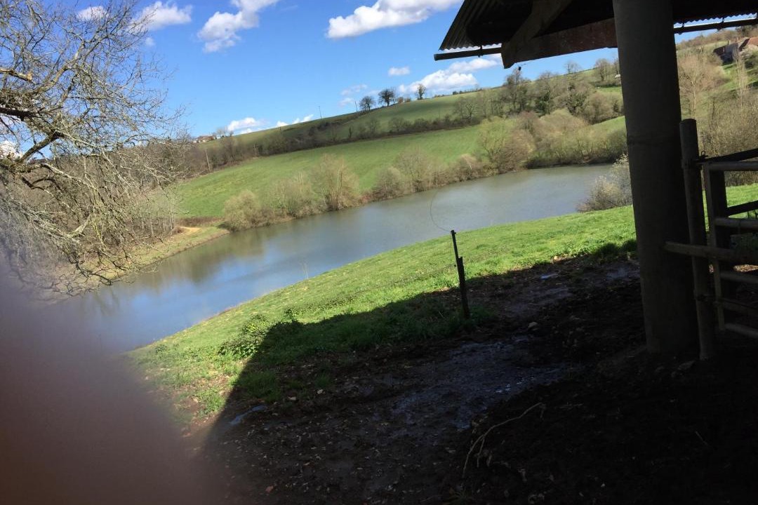 Photo of Others in Betracq