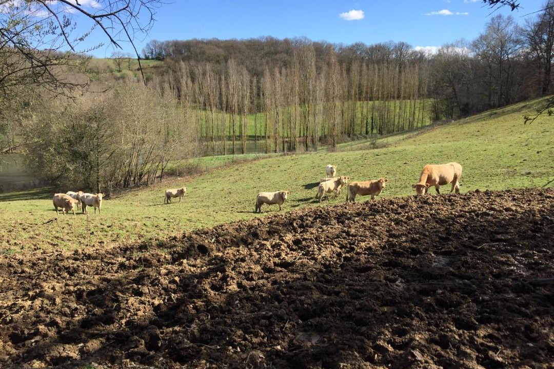 Photo of Others in Betracq