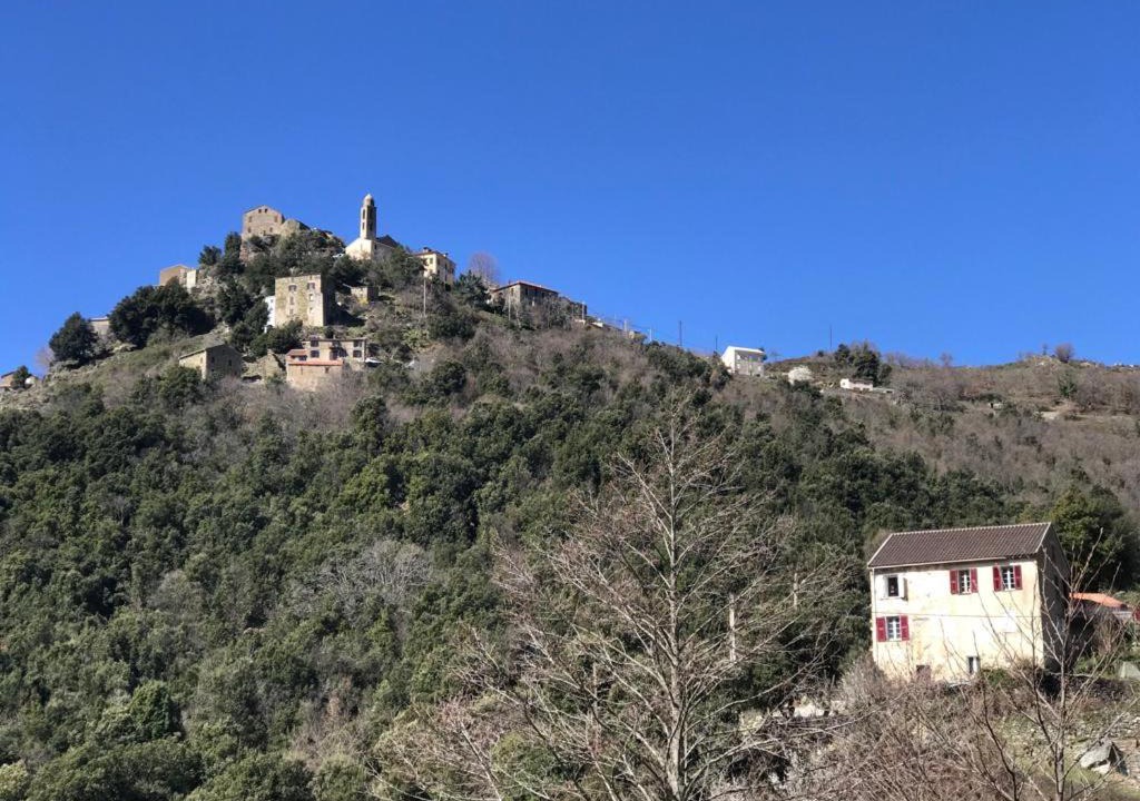 Photo of Others in Santa-Lucia-di-Mercurio