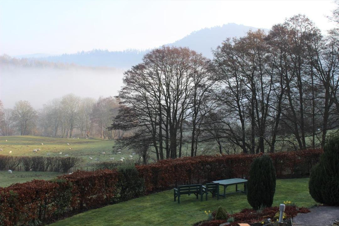 Photo of Others in Glyn-Dyfrdwy