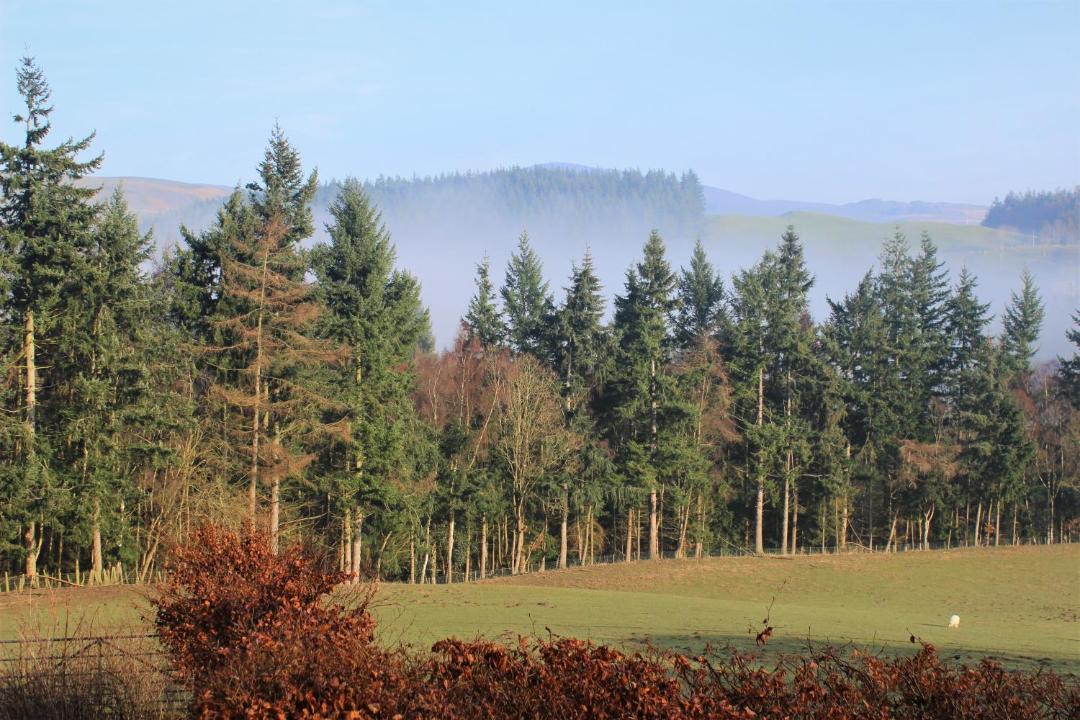 Photo of Others in Glyn-Dyfrdwy