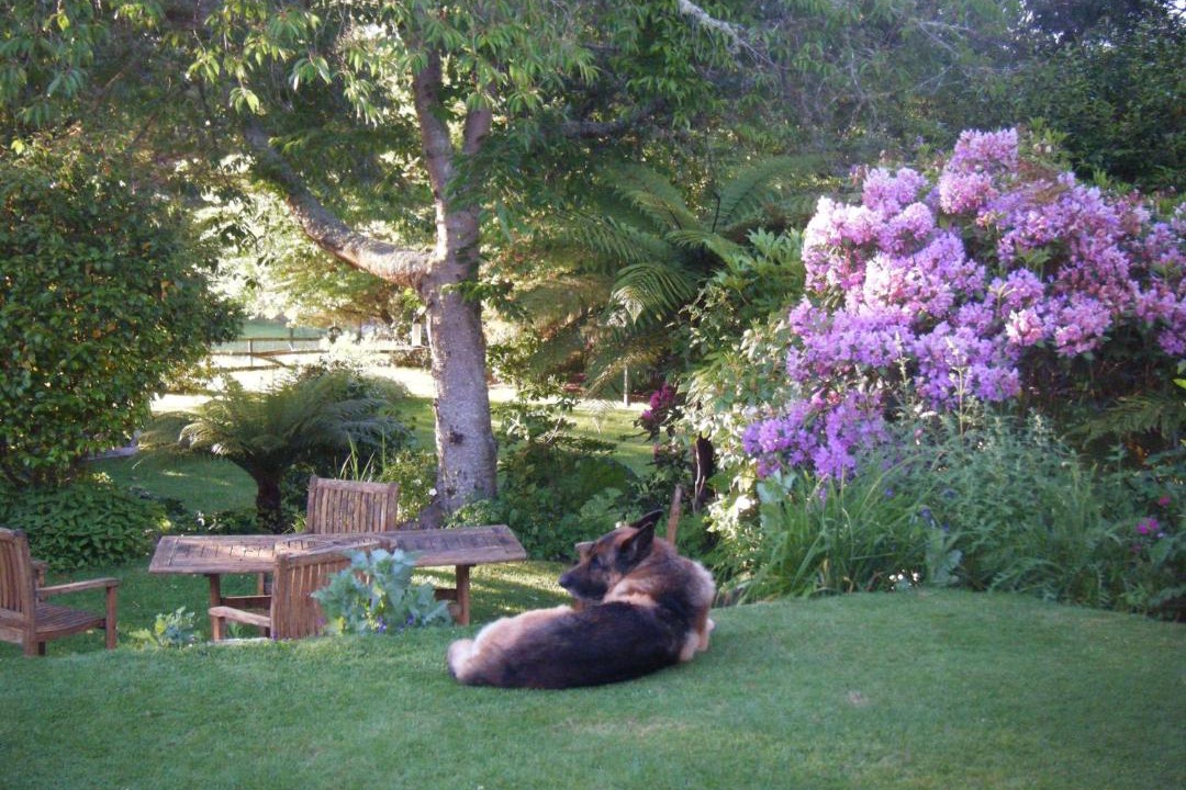 Photo of Others in Kinloch