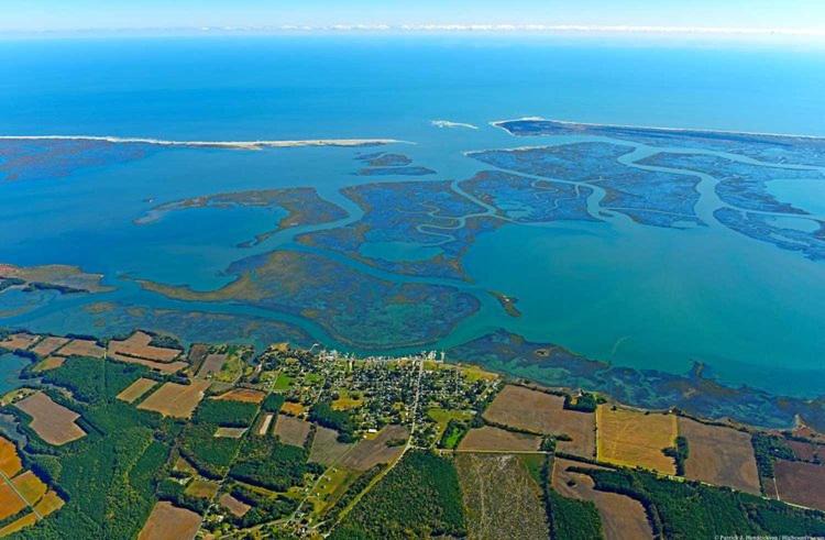 Photo of Outdoor in Wachapreague