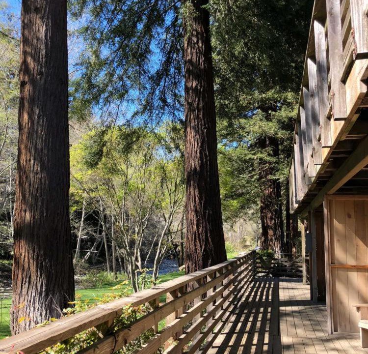 Photo of Others in Big Sur