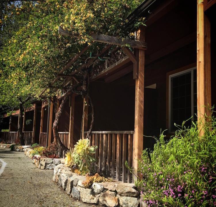 Photo of Others in Big Sur