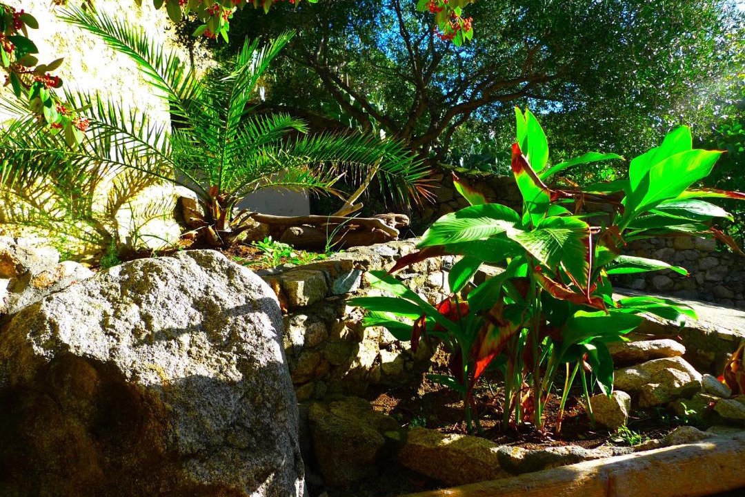 Photo of Others in Corbara