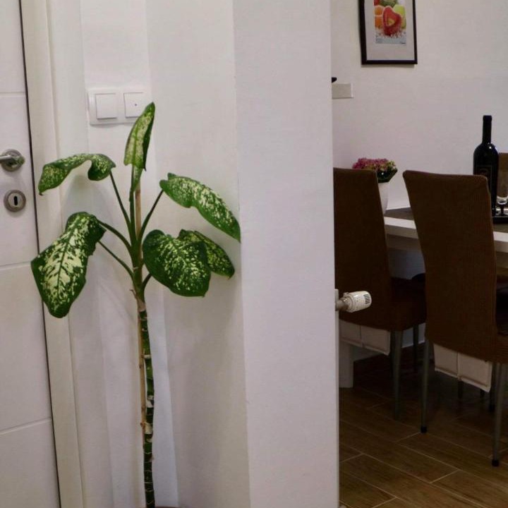 Photo of Others in Vodice