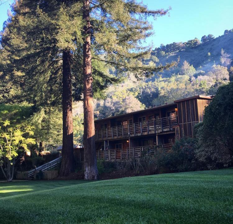Photo of Others in Big Sur