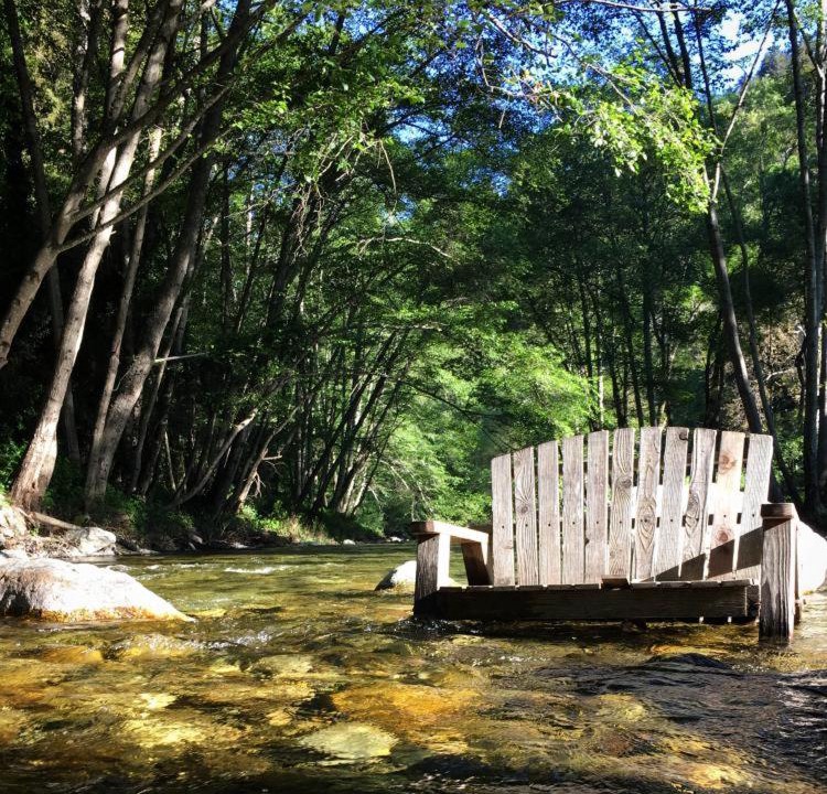 Photo of Others in Big Sur