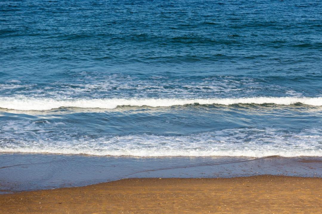 Photo of Others in Vineyard Haven