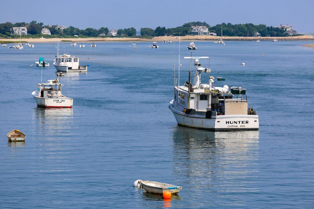 Photo of Others in Vineyard Haven