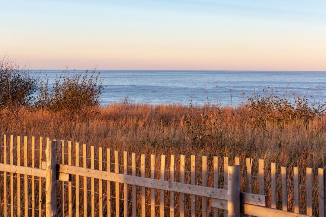 Photo of Others in Vineyard Haven