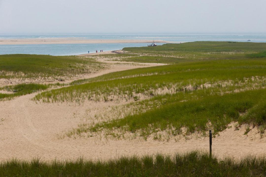 Photo of Others in Vineyard Haven