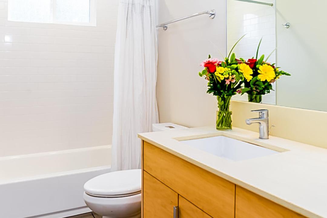 Photo of Others in Lopez Island