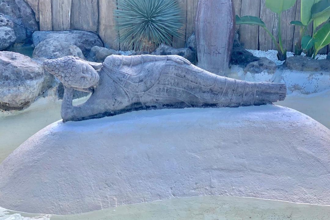 Photo of Others in Le Grau-dʼAgde