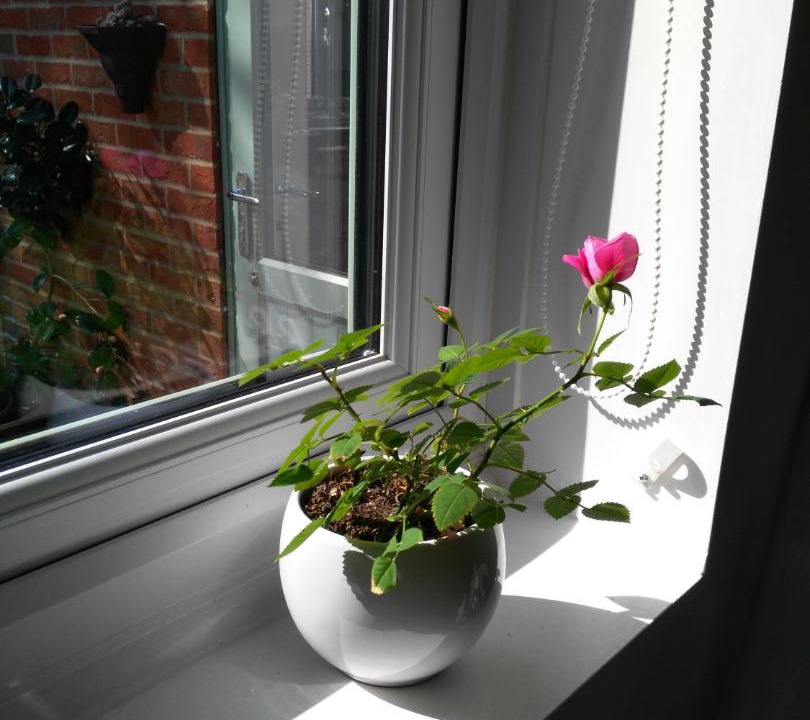 Photo of Others in Sleaford