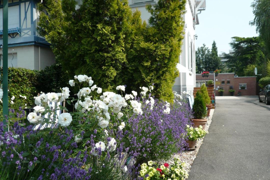 Photo of Others in Marcq-en-Baroeul