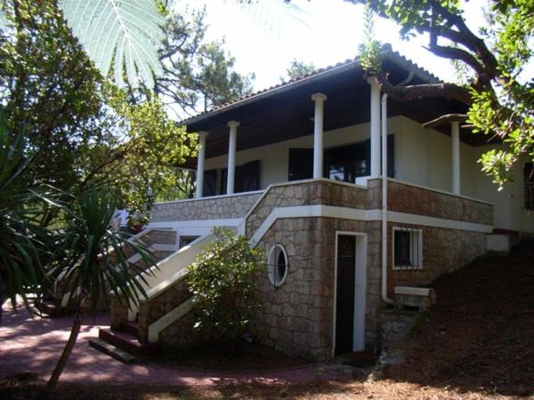 Photo of Buildings in Lege-Cap-Ferret