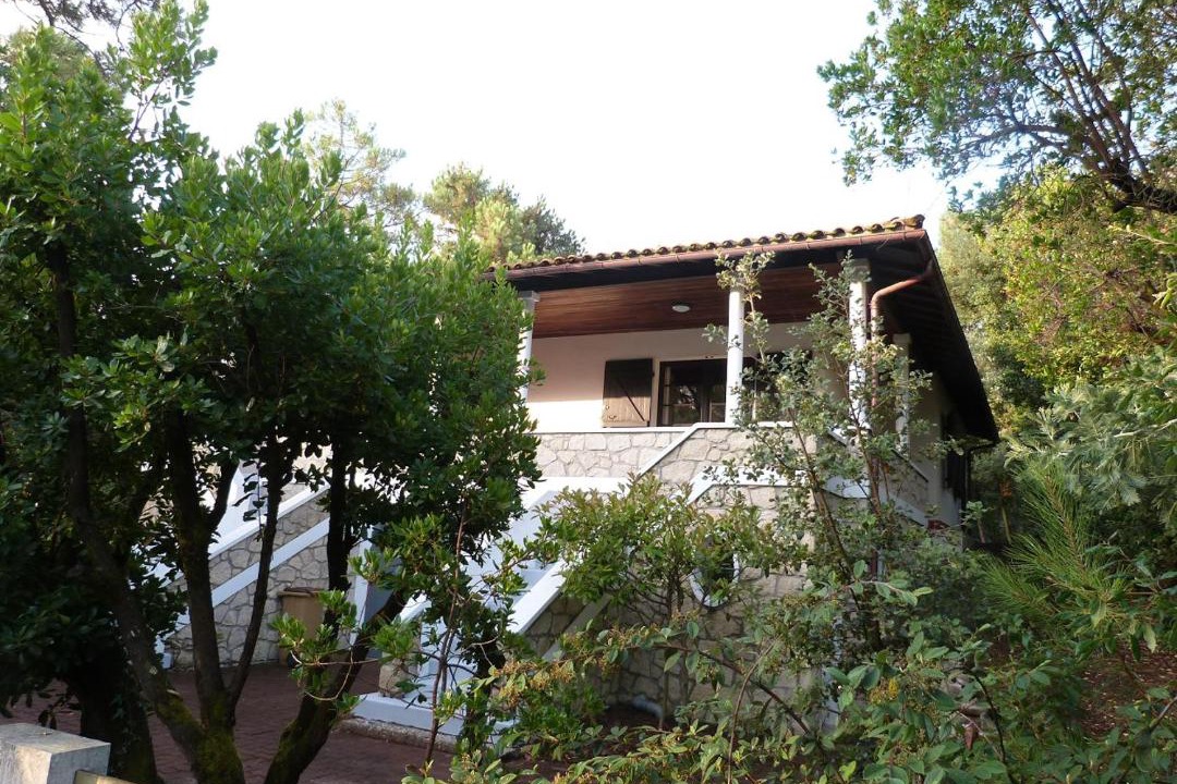 Photo of Buildings in Lege-Cap-Ferret