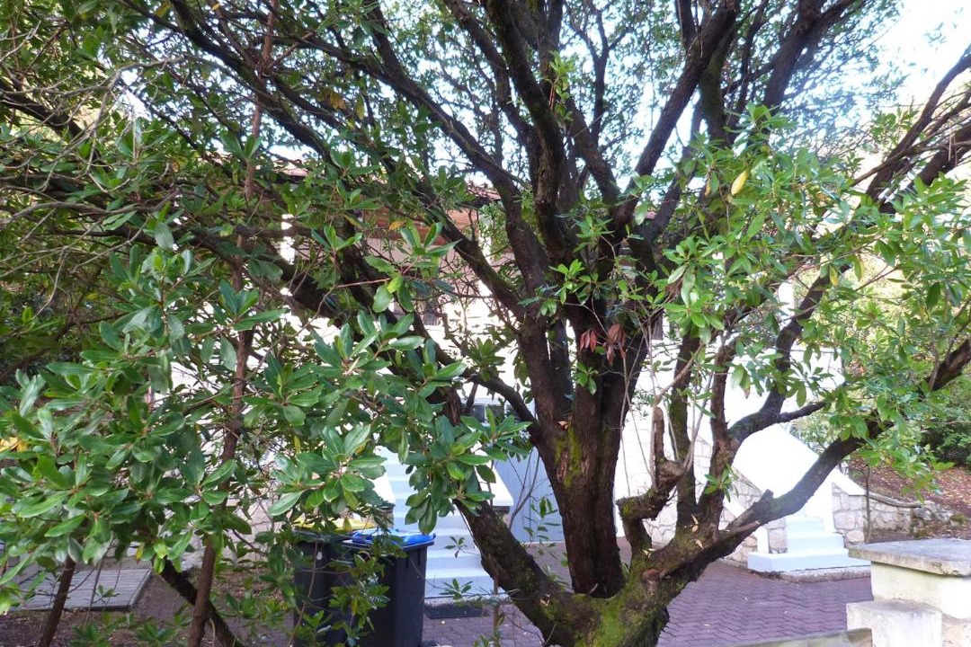 Photo of Others in Lege-Cap-Ferret