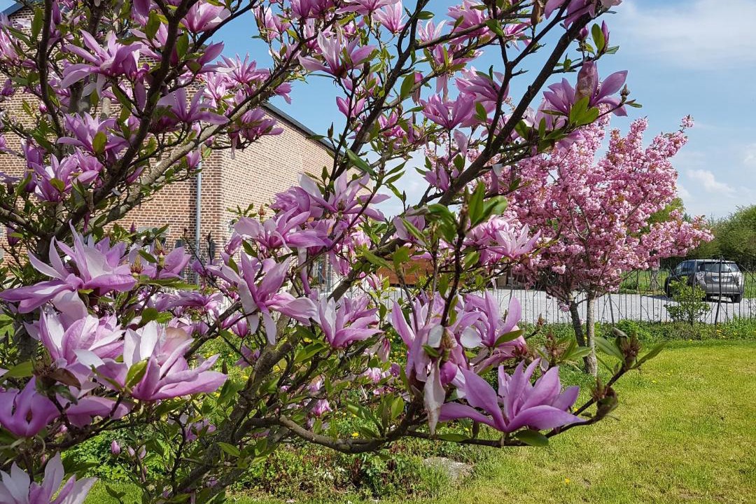 Photo of Others in Aulnoye-Aymeries