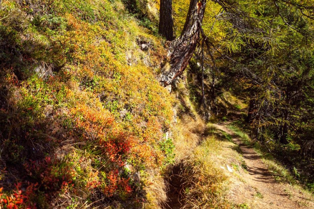 Photo of Outdoor in Rosswald