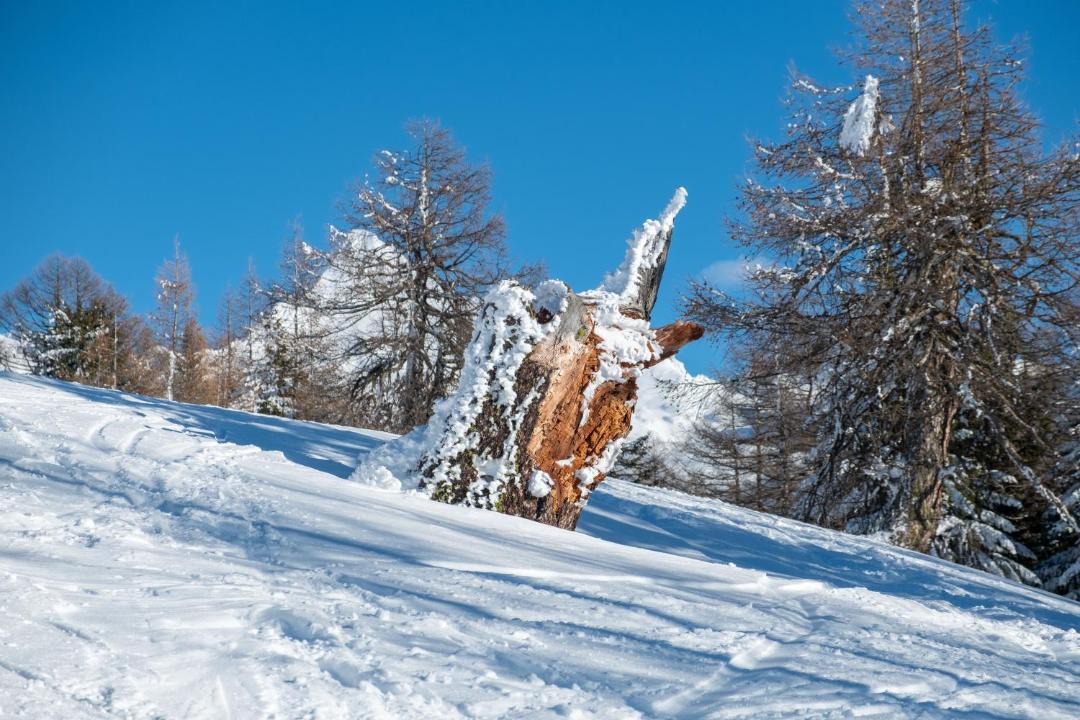 Photo of Others in Rosswald