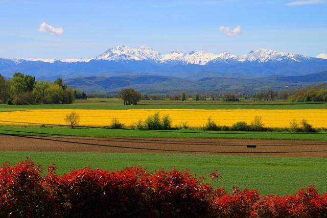 Photo of Others in Gaudies