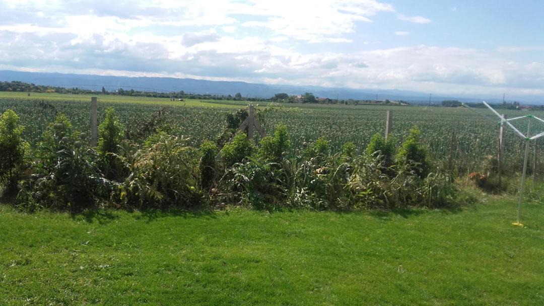 Photo of Outdoor in Chabeuil