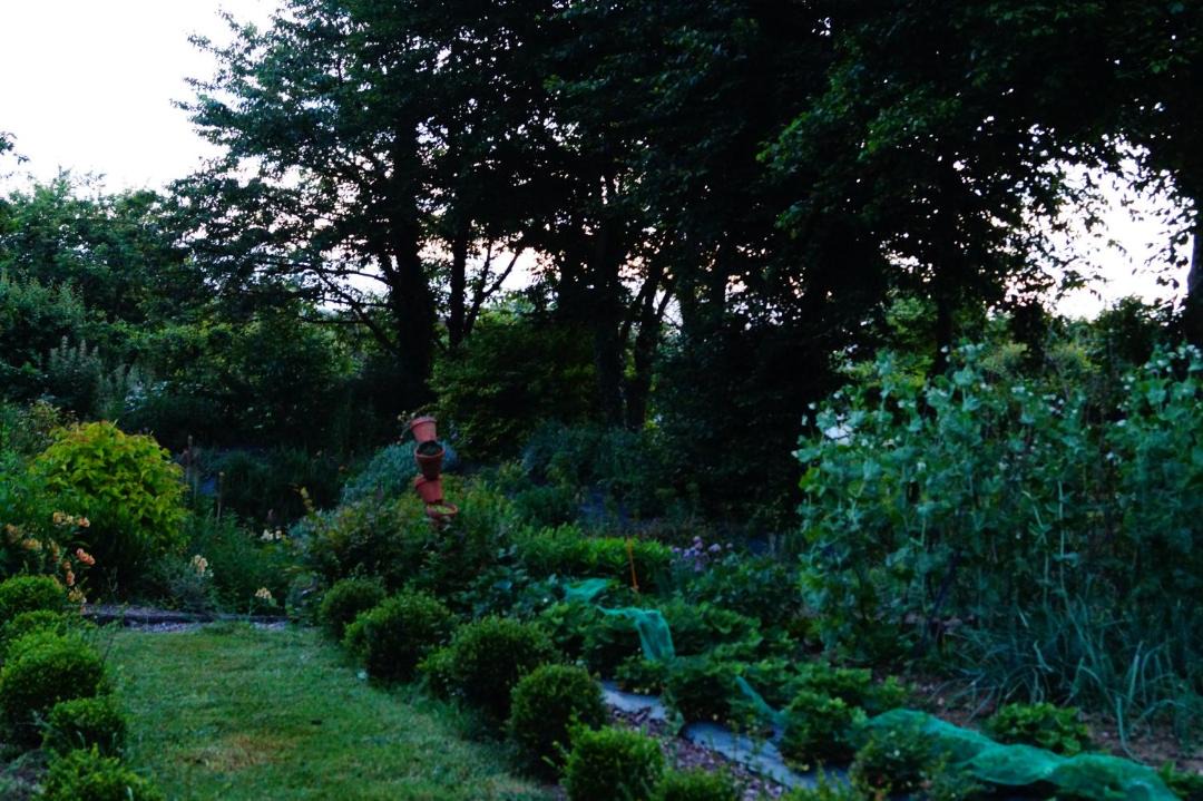 Photo of Others in Plestan