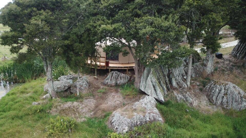 Photo of Others in Ruatangata West