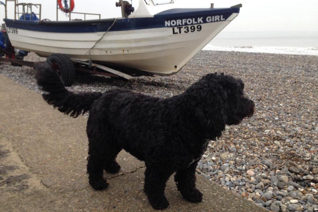 Photo of Others in Southrepps