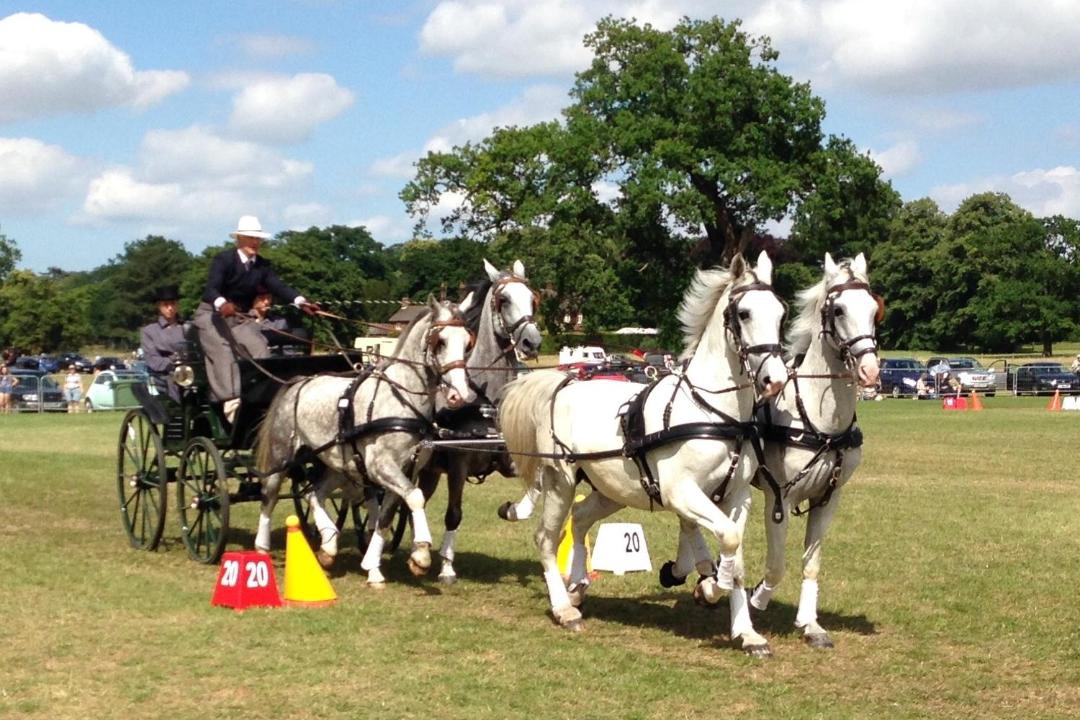 Photo of Others in Southrepps