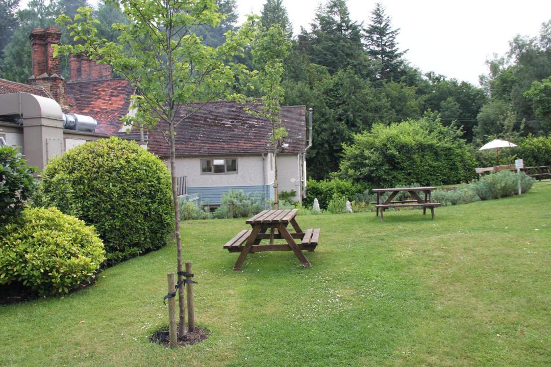 Photo of Others in Churt