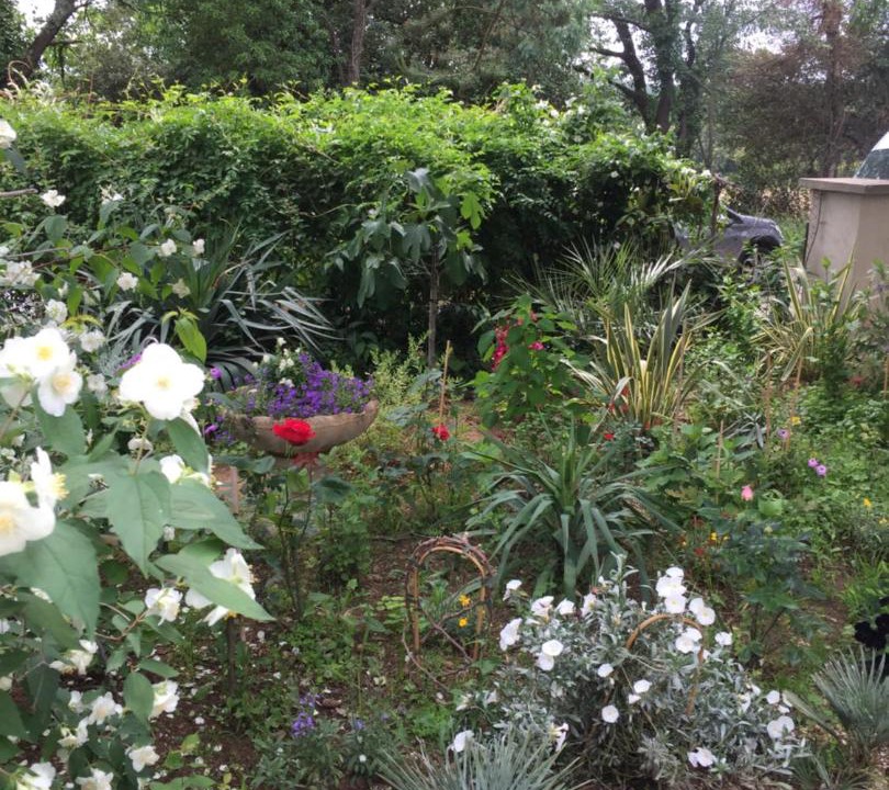 Photo of Others in La Capelle-et-Masmolene